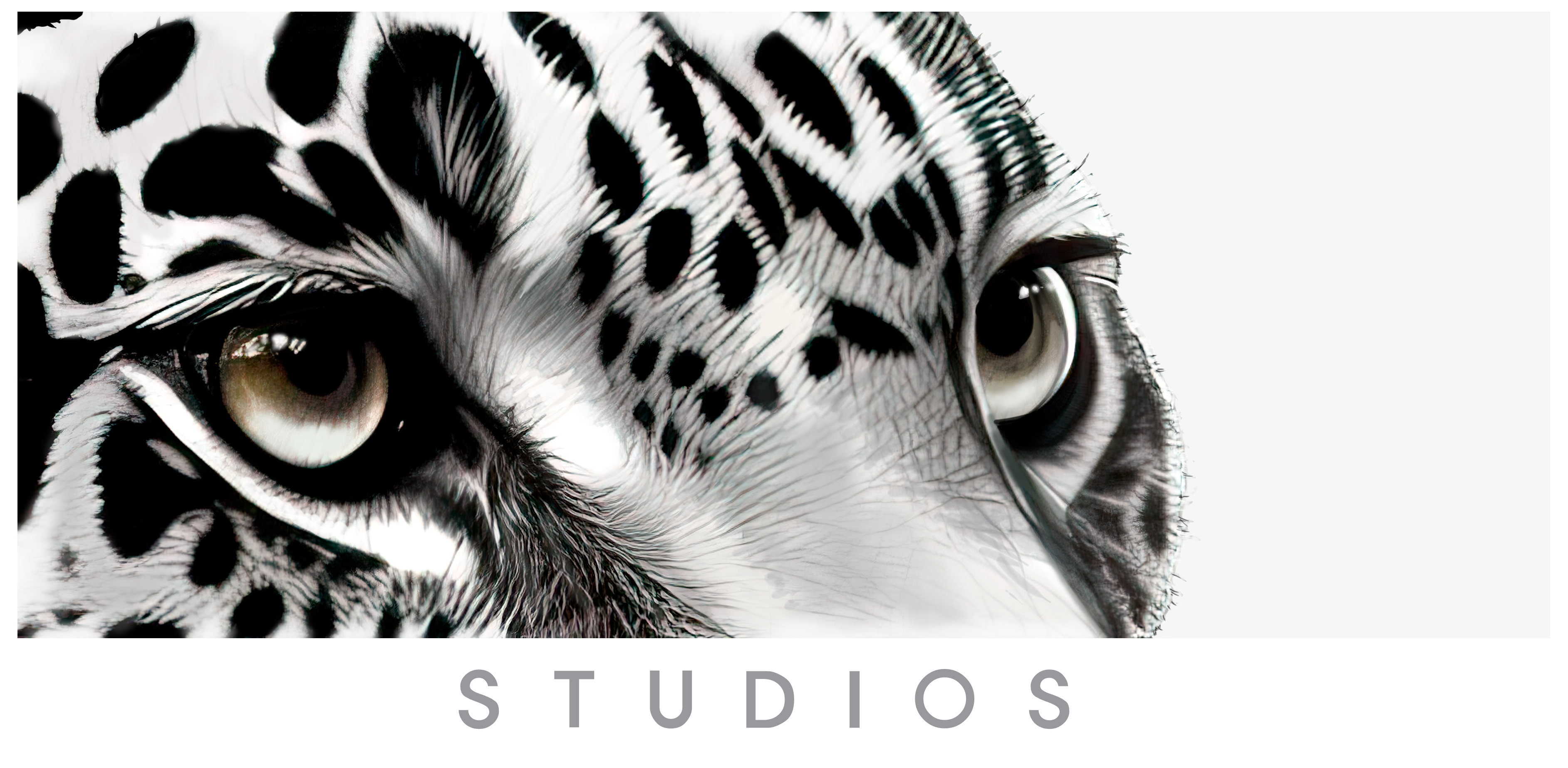 Copy of Logo Jaguar Studios V_001